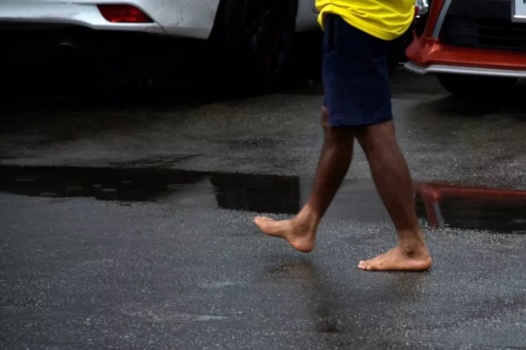 湛江人注意！暴雨套餐已发货！蹚水小心惹“毒”上身