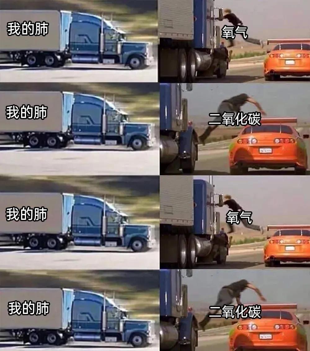 lifeme搞笑图片,月初月末搞笑图片