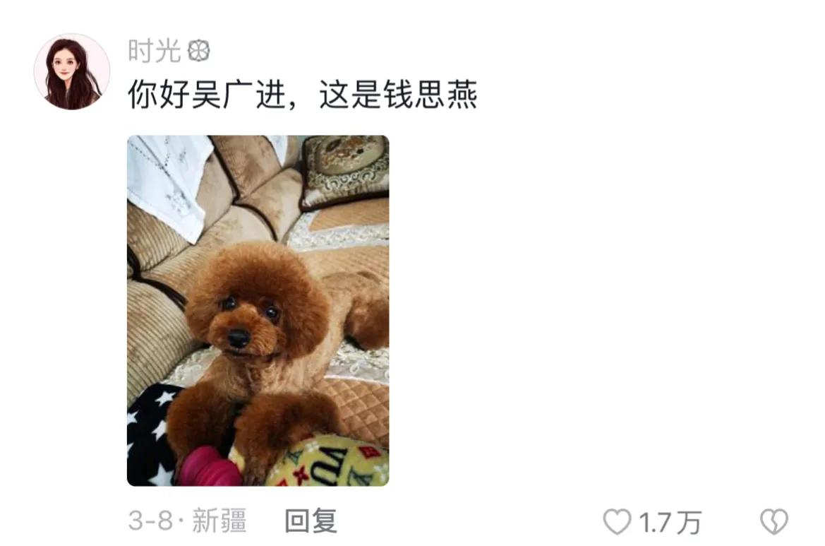 宠物取什么名字好听,取一个宠物名字