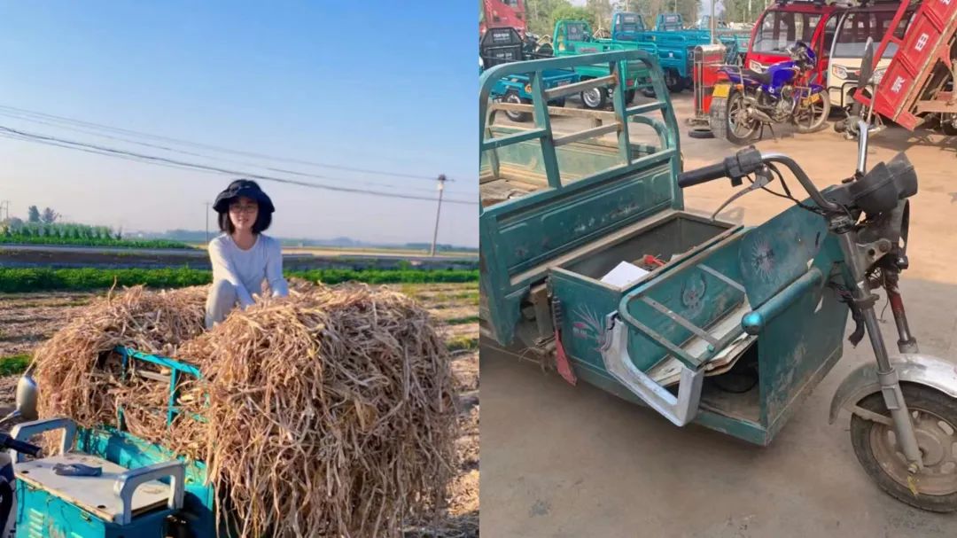 95后女大学生辞职返乡种地,95后女生返乡创业养鹅