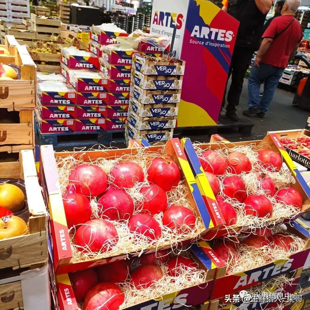 世界第一果蔬批发市场,中国十大果蔬批发市场