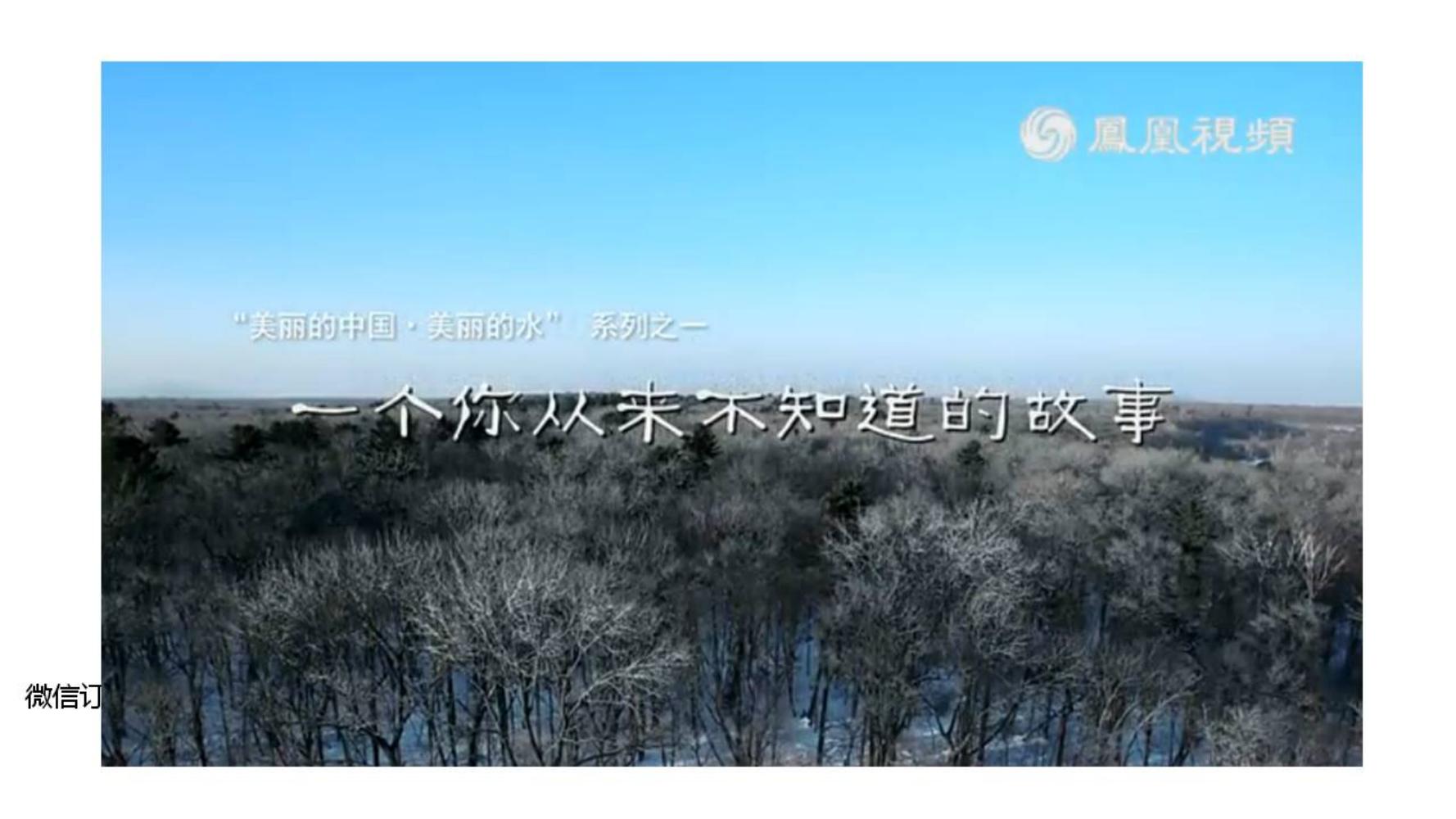 小白如何学品牌策划方法和技巧,如何做品牌策划的步骤