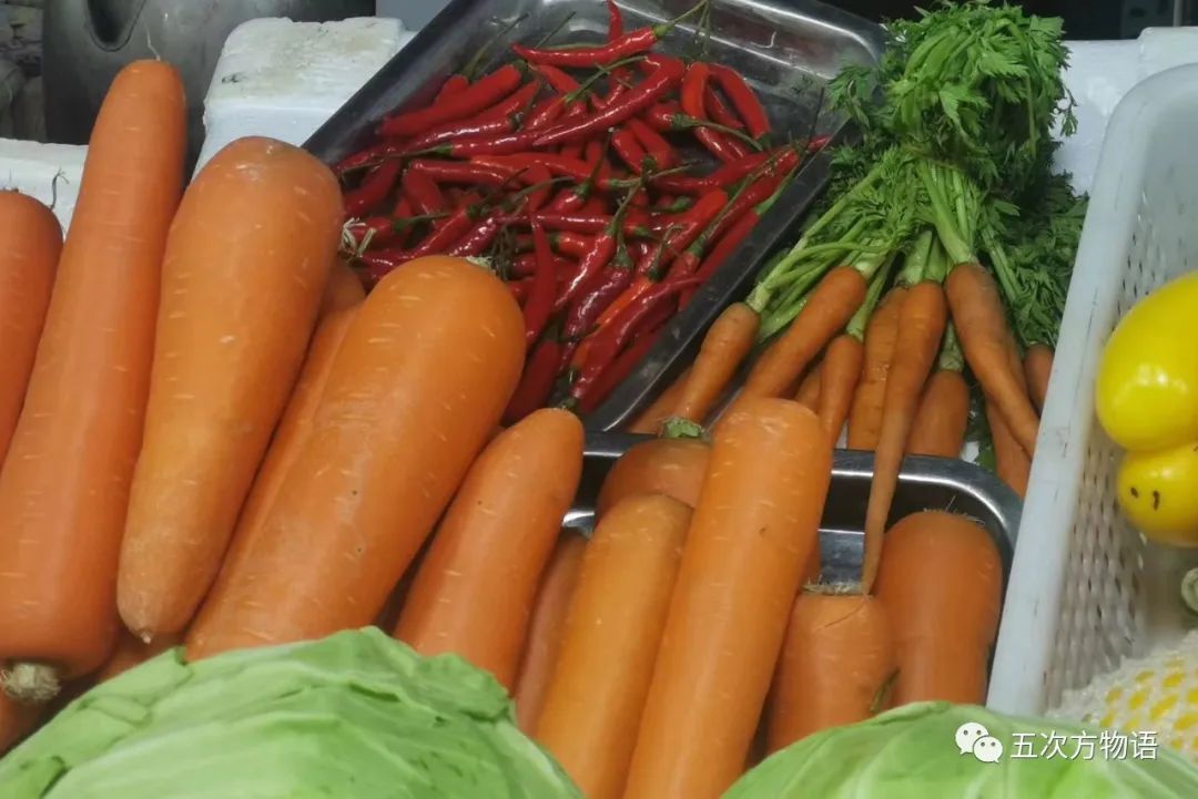 根类食物大全 (5种根菜类的食材)