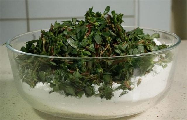 干马齿苋加蜂蜜泡水喝有什么作用,马齿苋和金银花一起泡水喝的功效