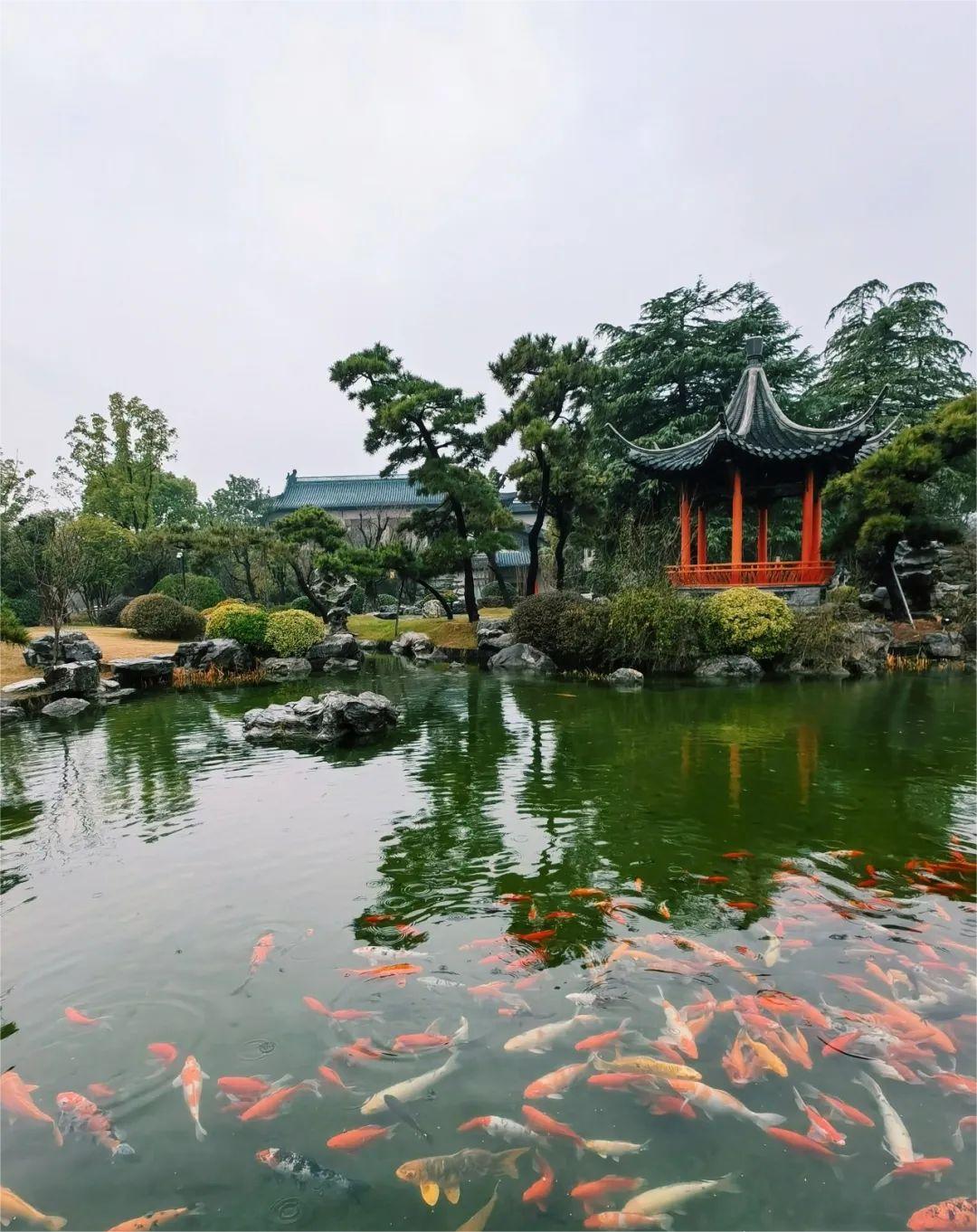 睡过这家国宾馆的新楼，我们全家都愁了……