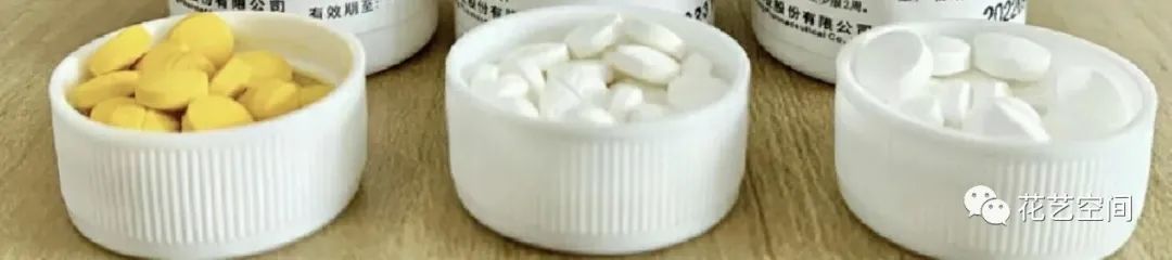 1块钱的“小药片”扔土里，立马变“肥土”，枝壮叶肥，生长旺！