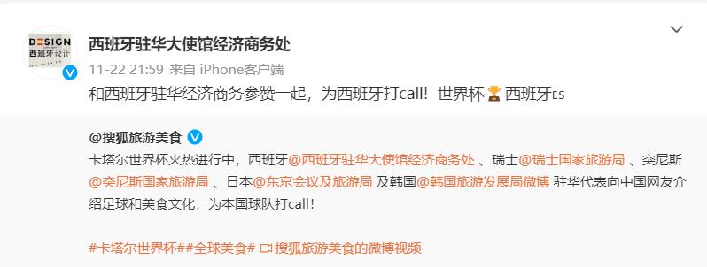 世界杯决赛阿根廷vs法国中国球迷,世界杯美洲区预选赛阿根廷巴西