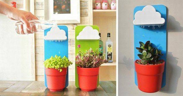 80个难得一见的图片,100个难得一见照片