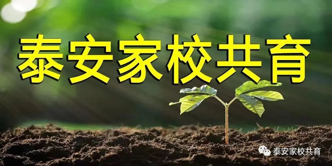 中考选择普通高中还是重点学校,中考普高志愿和职高哪个优先录取