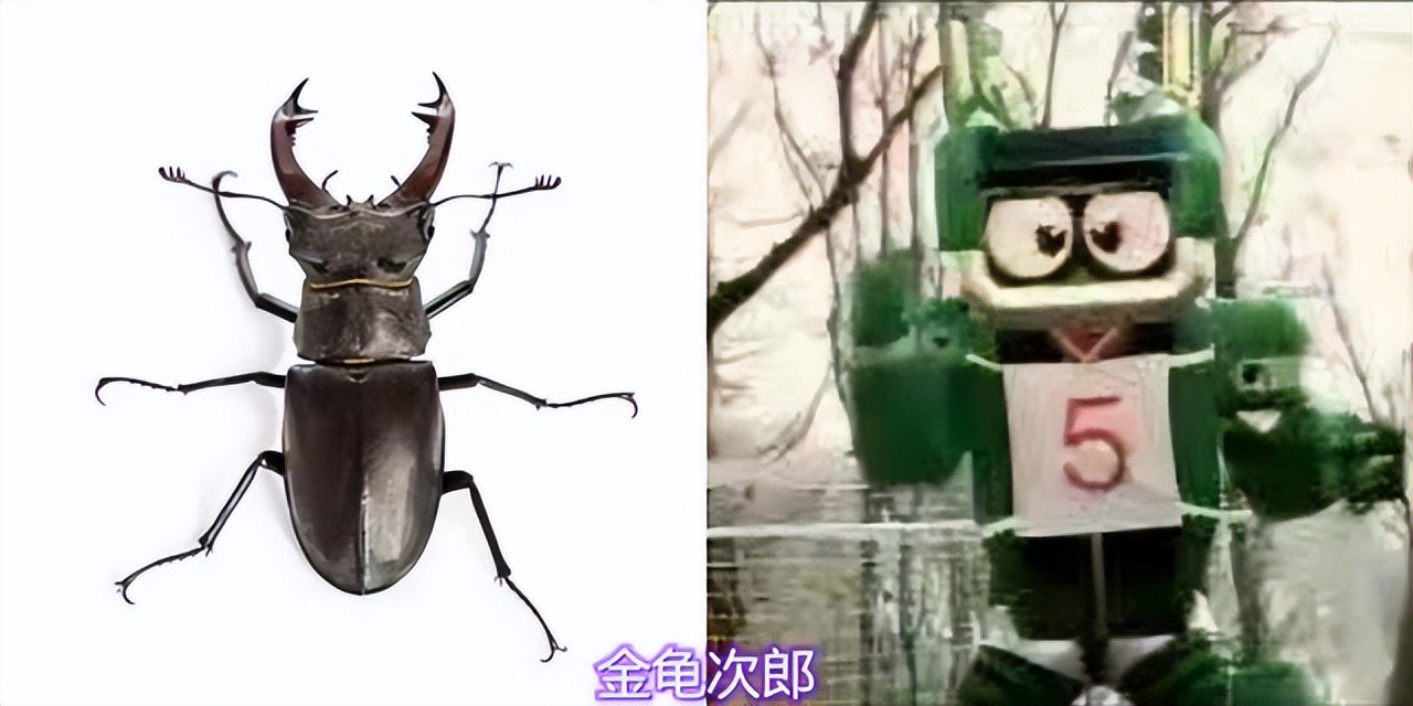 铁甲小宝里有哪些机器人,铁甲小宝中所有机器人图片