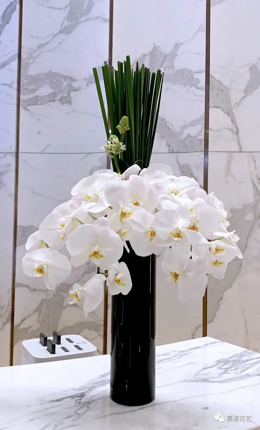 商务前台鲜花,前台花选择