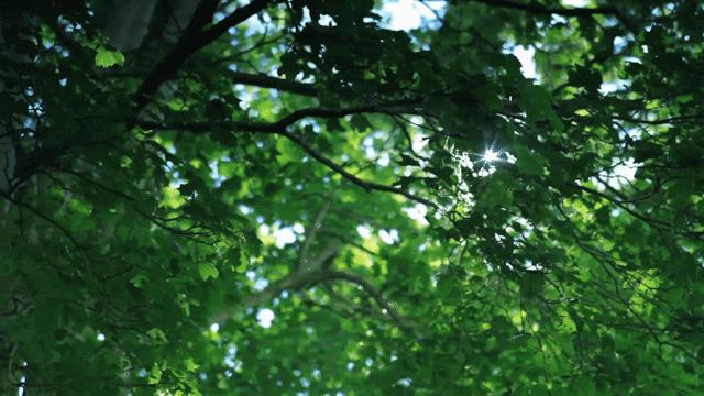 今年夏天最热地区,今年夏天最热排行榜