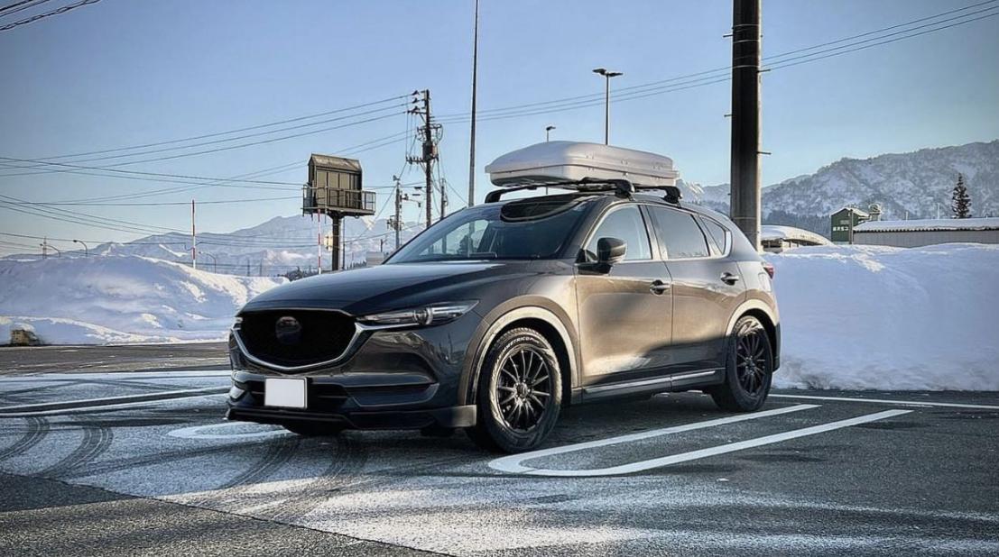 哪些基本款汽车是男生的最爱,看看哪个品牌的车子最适合你