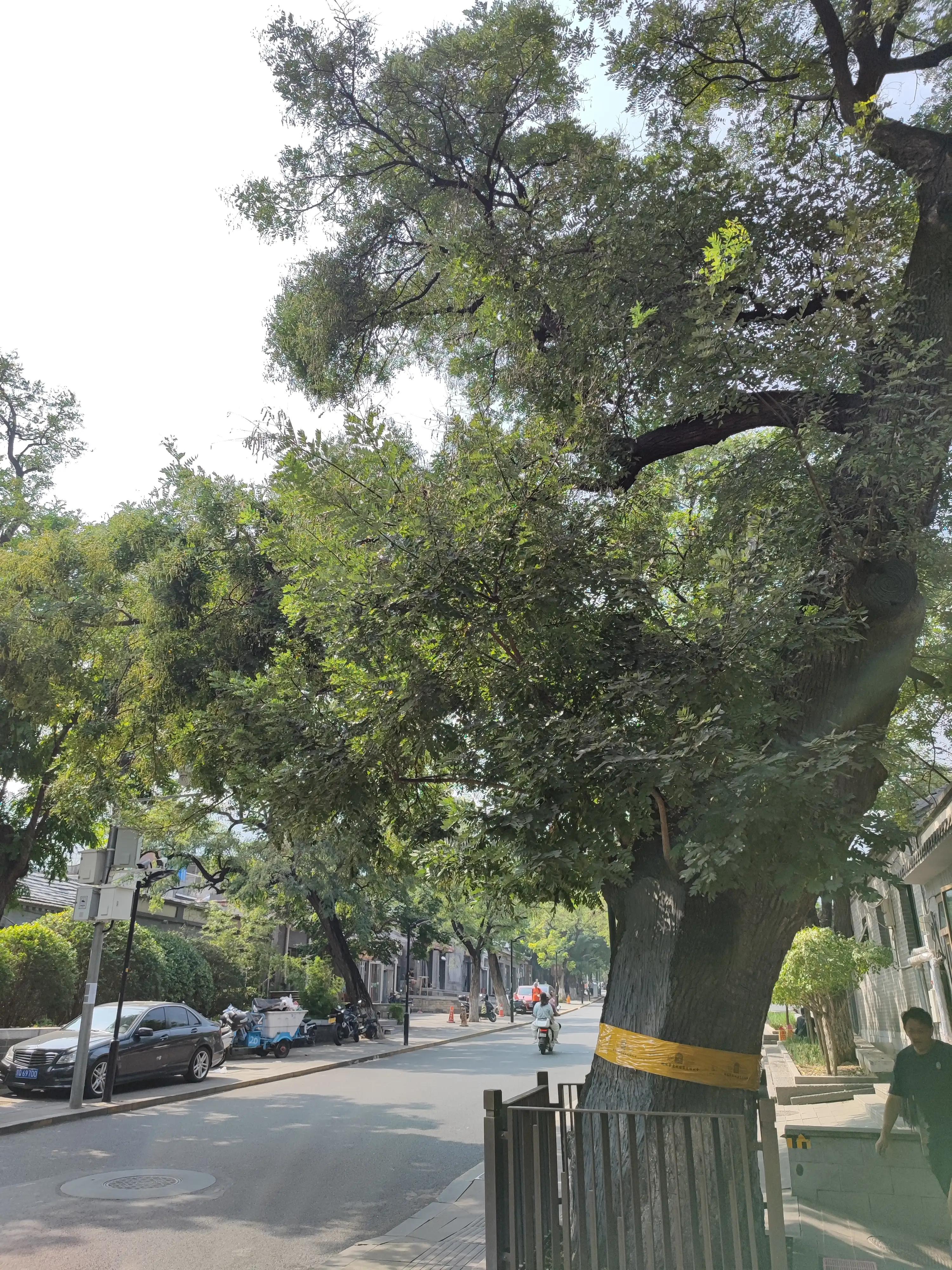 鍖椾含棣欏北鍗佸ぇ鏅偣鍥剧墖,鍖椾含棣欏北鍏洯鏅偣