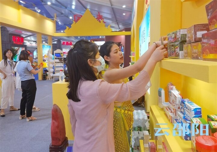 湖南东盟博览会,湖南邵阳东盟洽谈会