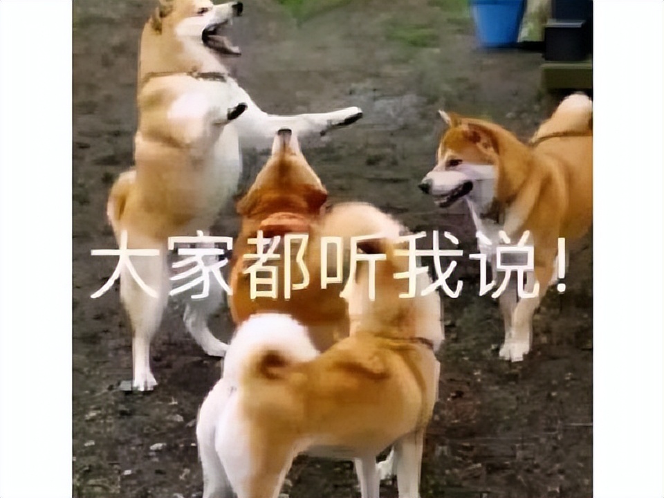 大学生恶意网购,大学生恶意零元购