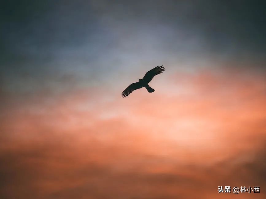 迷茫时一定要看的六本书,豆瓣上评分8.0的书每本都想读三遍