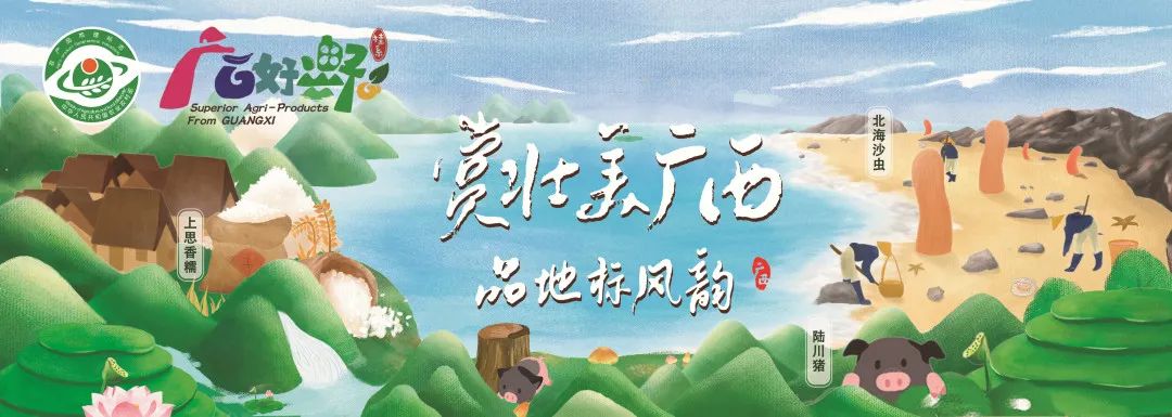 龙眼土特产是哪里种的,广西特色金桔哪些好