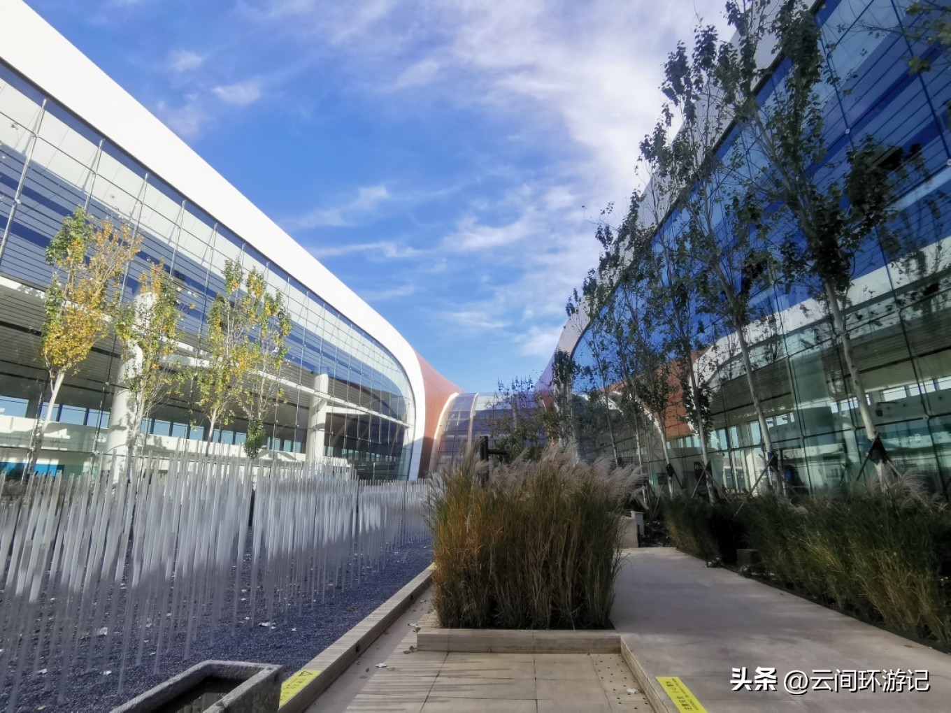 有情亦要食（延边延吉）