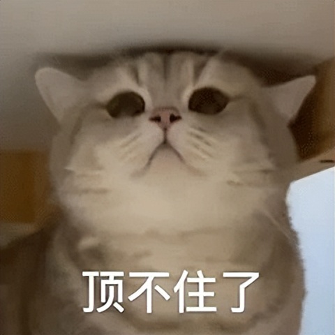 憋屎憋尿的四大名场面！华西医生问，你中招了吗？