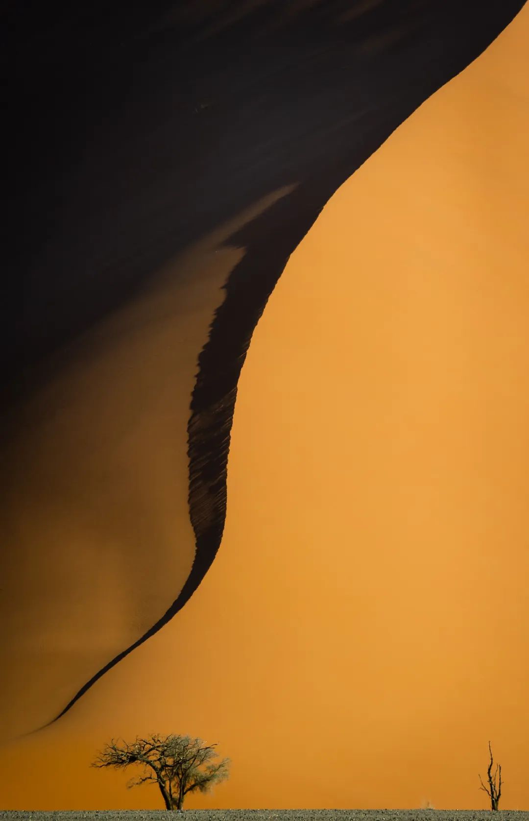 摄影界最著名的奖,摄影界的最高奖项叫什么