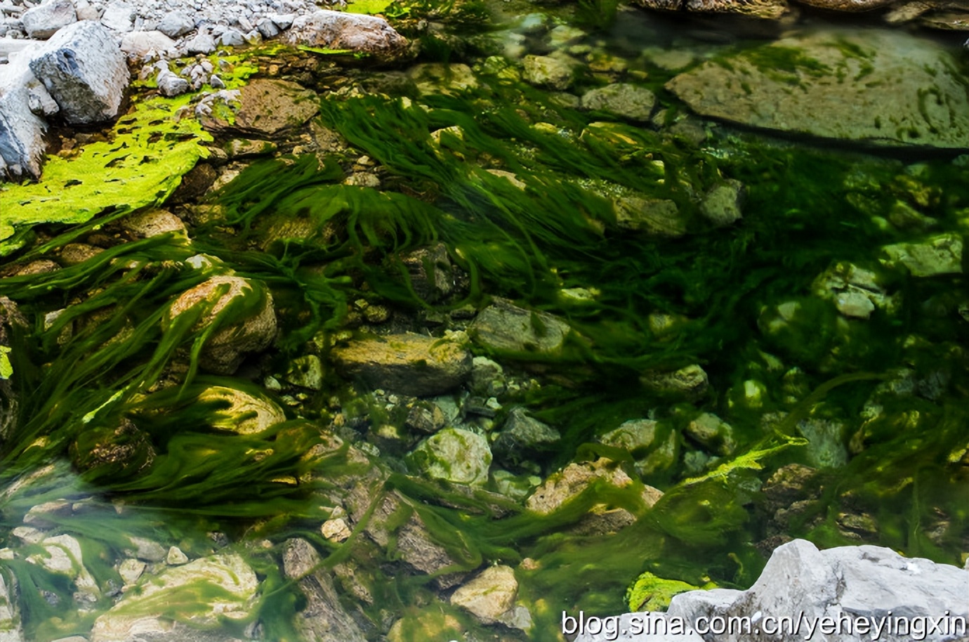 山西壶关青龙峡游玩攻略,壶关青龙峡景区