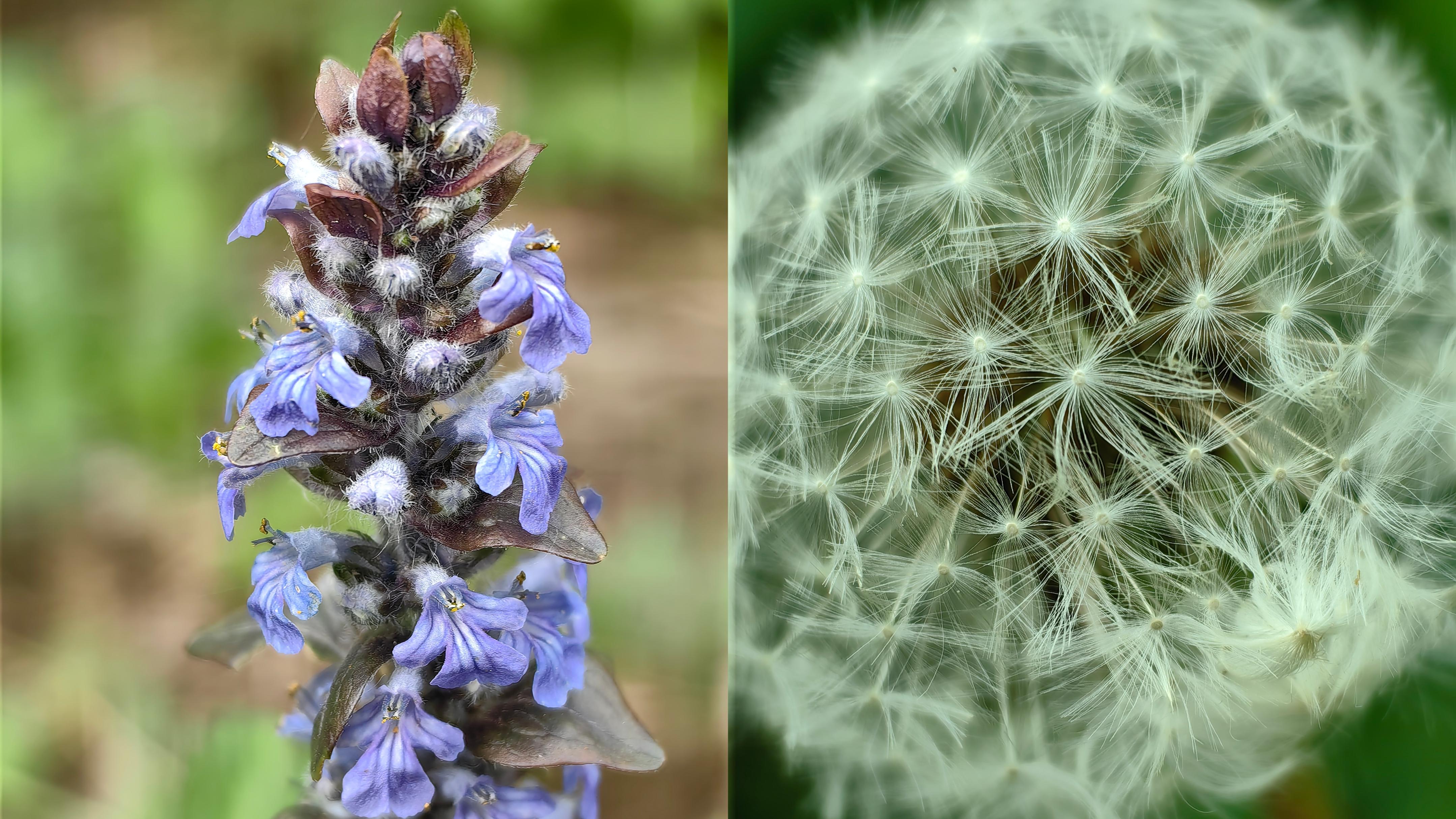 华为p60pro是多少尺寸屏幕,德国测试华为mate60pro