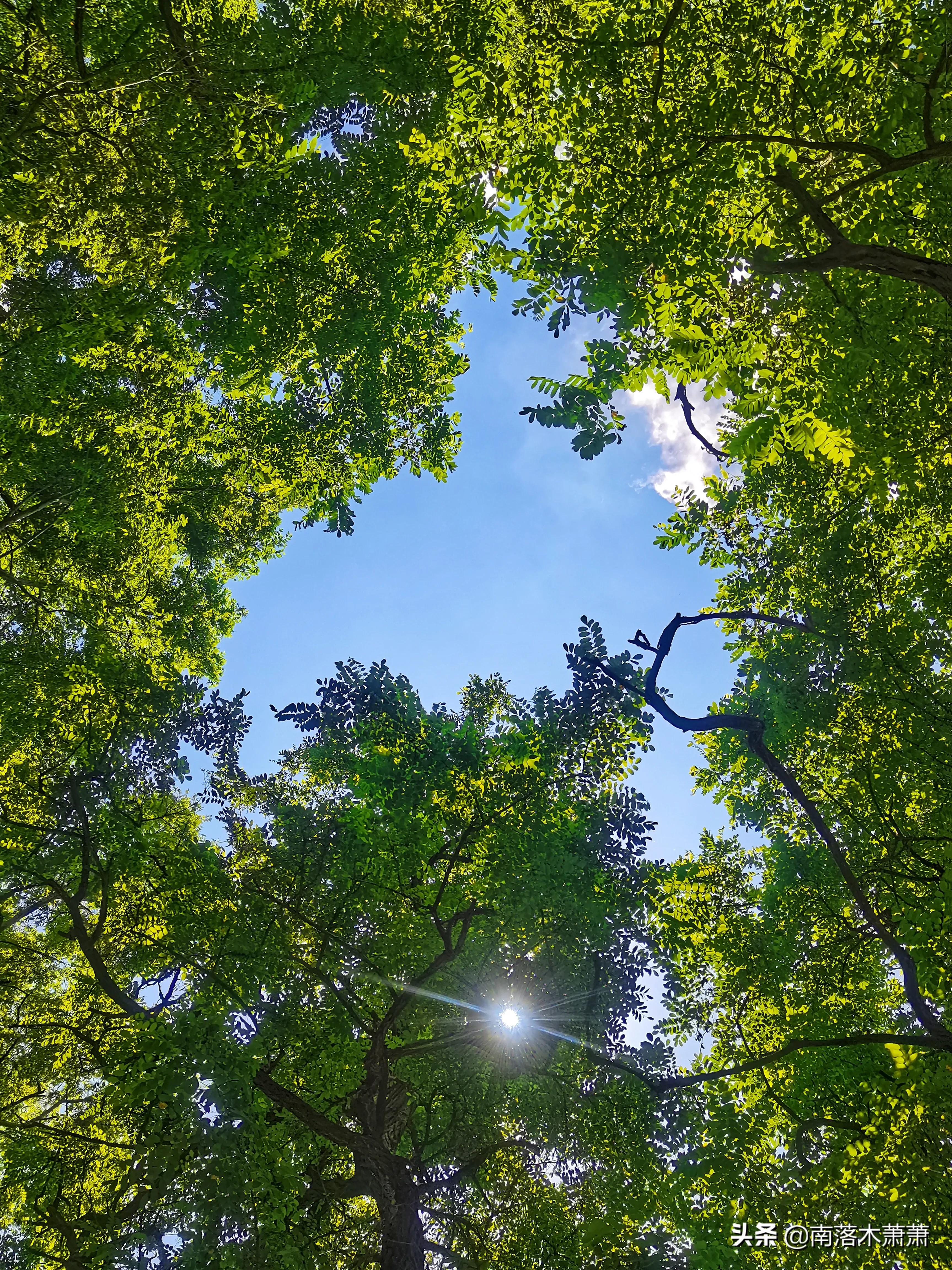 沈阳皇姑新乐遗址,参观沈阳新乐遗址博物馆