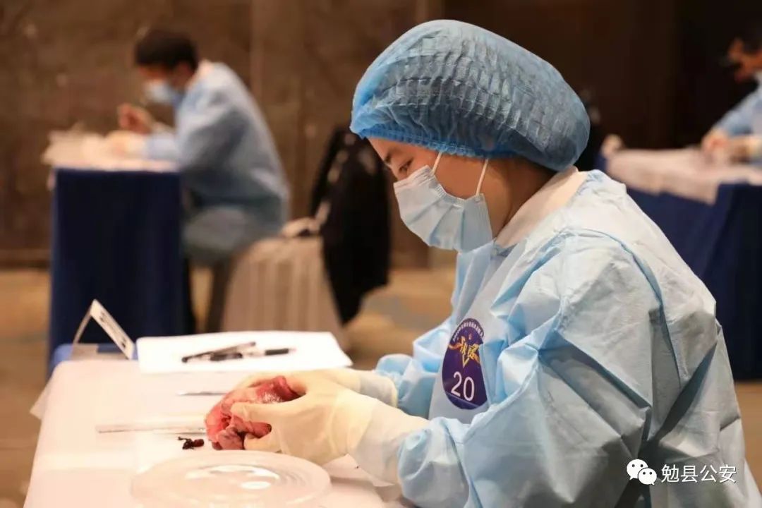 「先进典型」慧眼寻蛛丝纤手锁疑迹——勉县公安局法医罗茜同志先进事迹