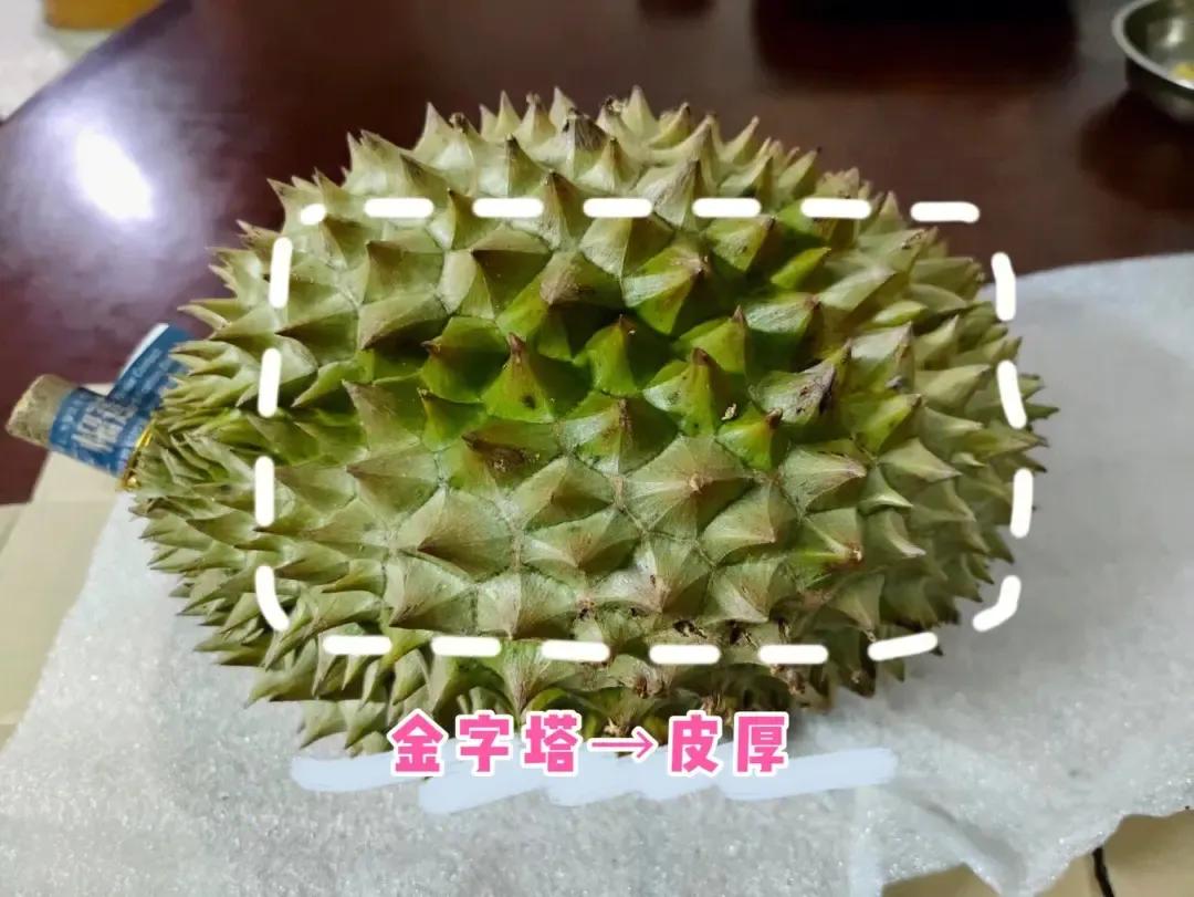 榴莲怎么挑牢记这几点,榴莲知识新手必看