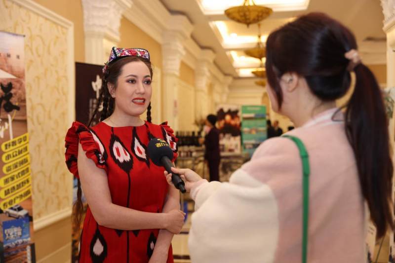 g219广西最美公路,g219途经几个国家的边境