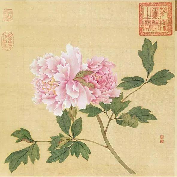 蒋廷锡牡丹画法,蒋廷锡百种牡丹画法