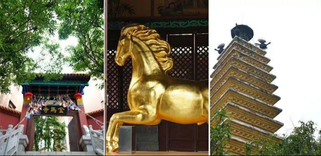 石牛、金马儿，还有奇怪的螃蟹，带你走进老家那些曾经发生的事