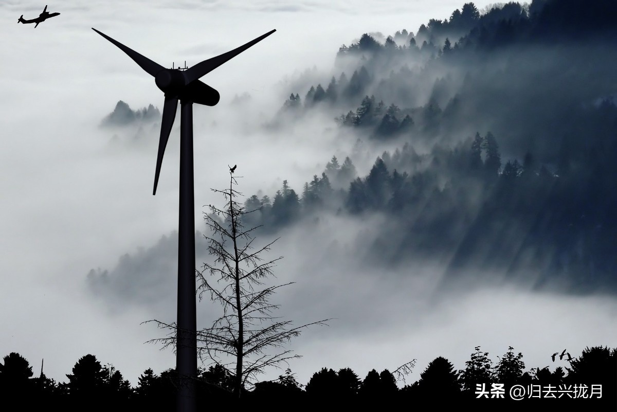 售电公司为什么可以拿到低价电 (售电公司有什么区别)