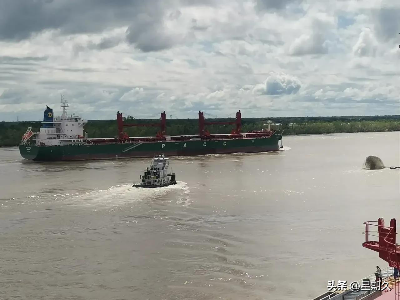 227期～船舶在韩国靠港女三副感情受挫，深夜不理智行为惹来祸端