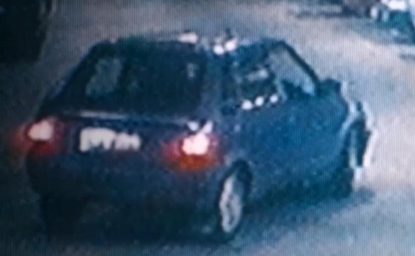 马来西亚华人王丽涓被害案,王丽娜遇害后续