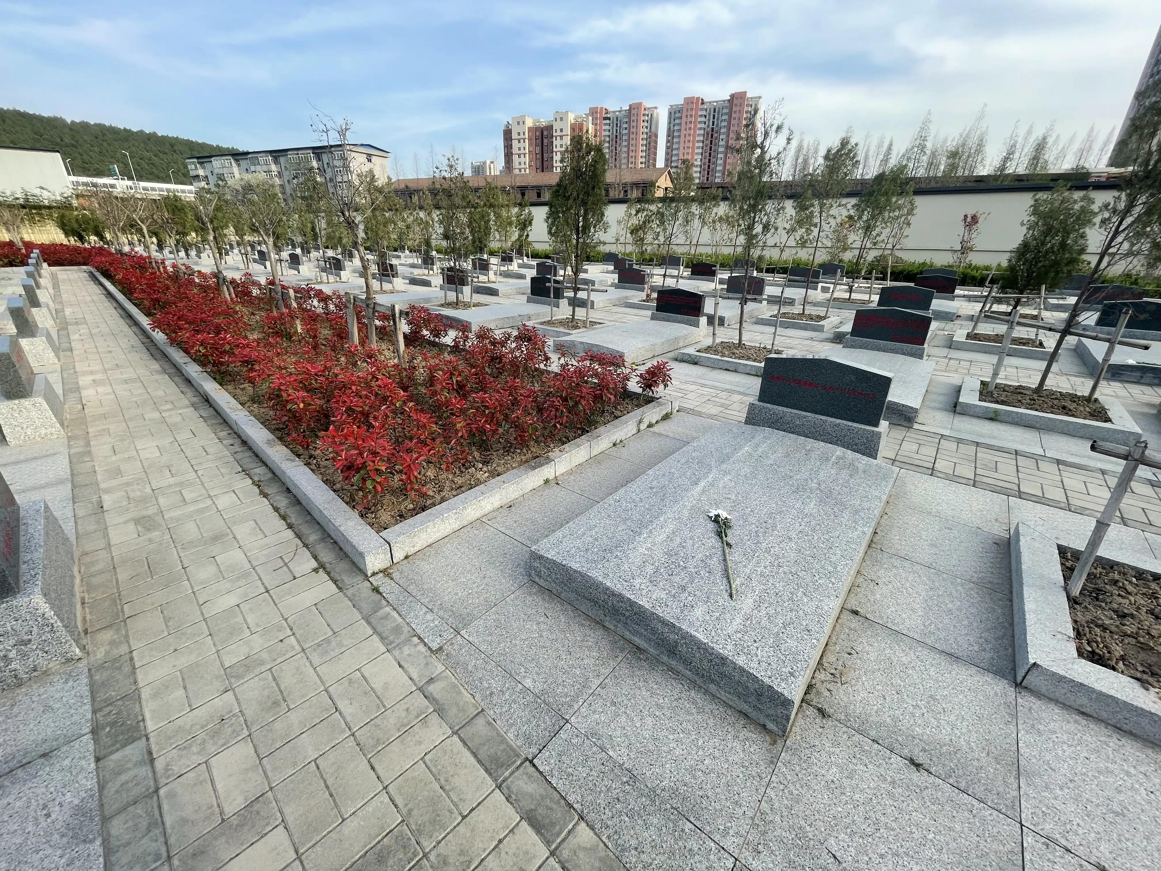 山东曹县为87名无名烈士寻亲找家,曹县孙智敏