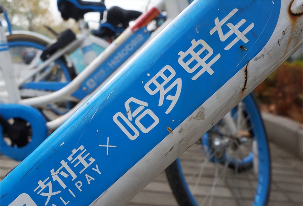 盯上相亲和短视频？哈罗出行，能不能“卷”点像样的东西