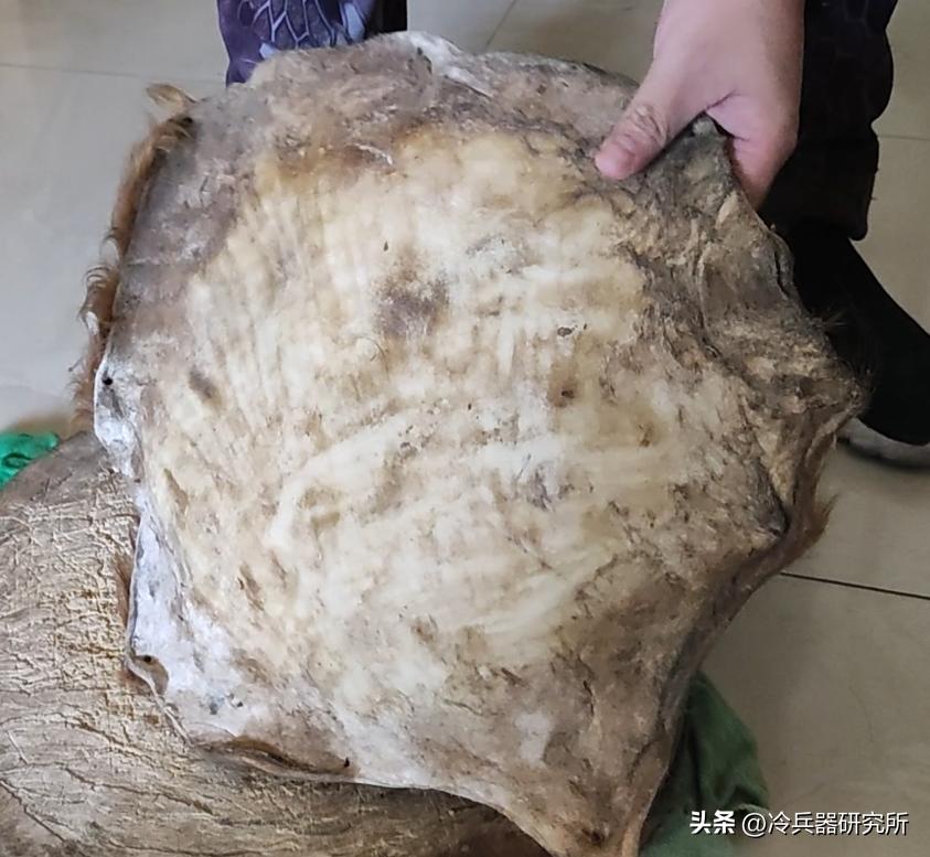 古代战甲实战效果,古代皮甲真实防御力