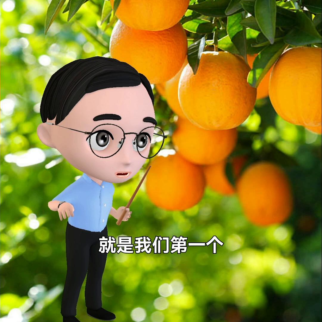 同城配送水果蔬菜流程,生鲜水果配送小程序