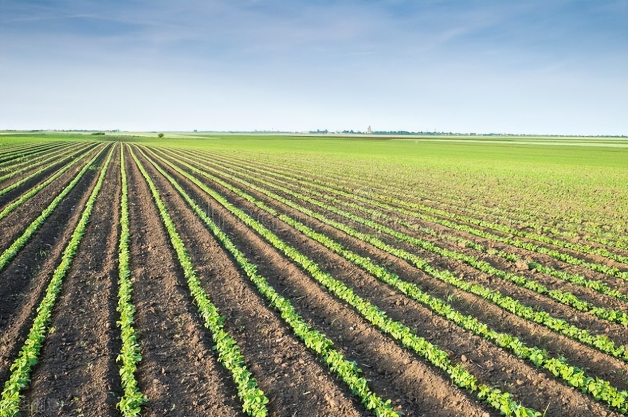 布局20年,中国布局20年