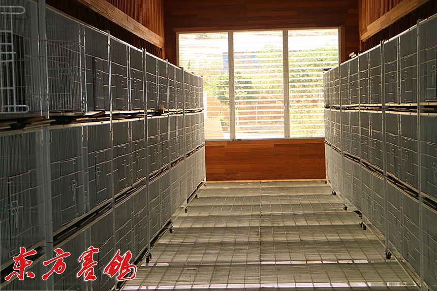 云南大理鑫翔公棚,大理宾川鑫翔公棚规程