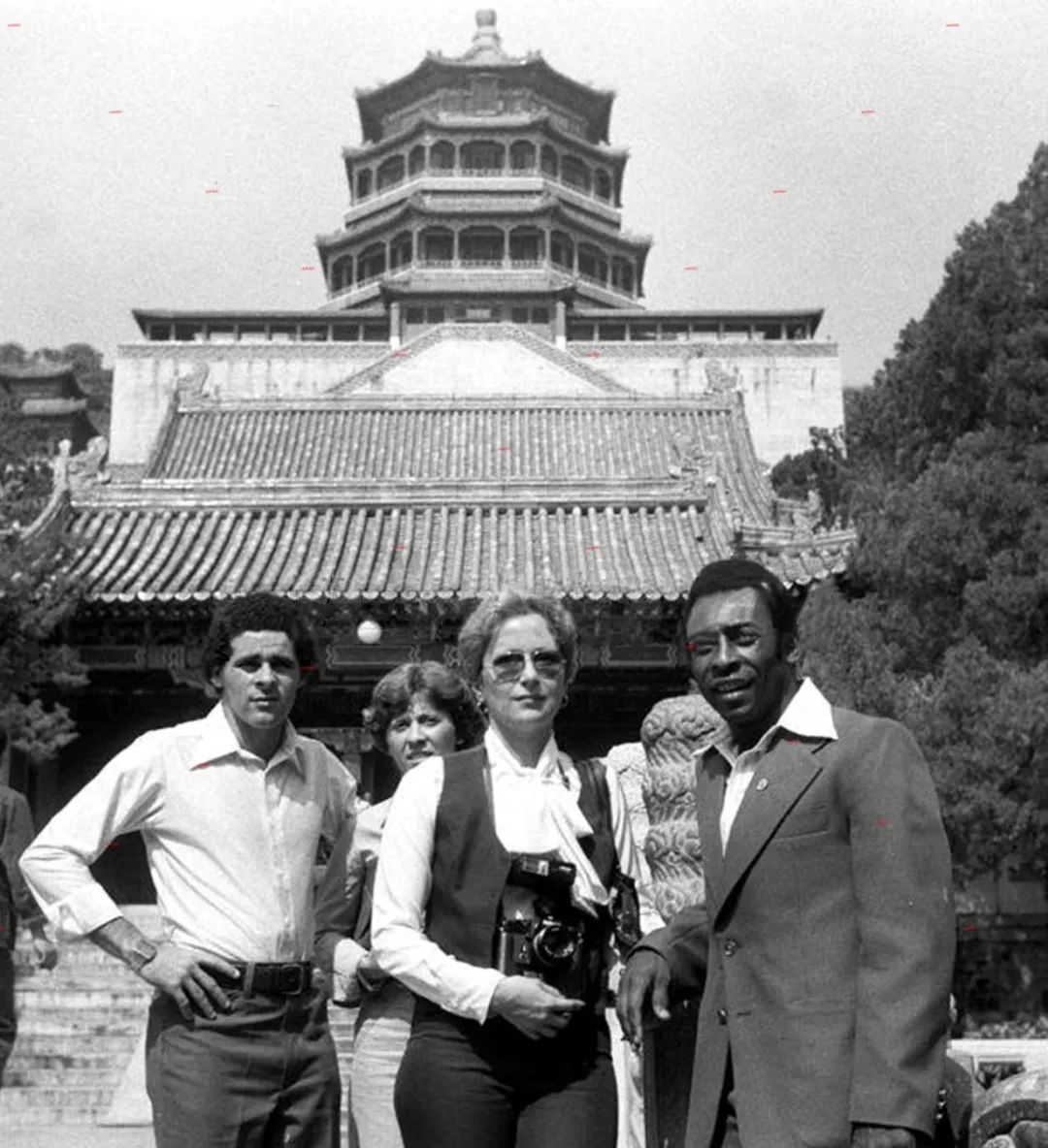 足球解说经典语录贝利,关于贝利的歌