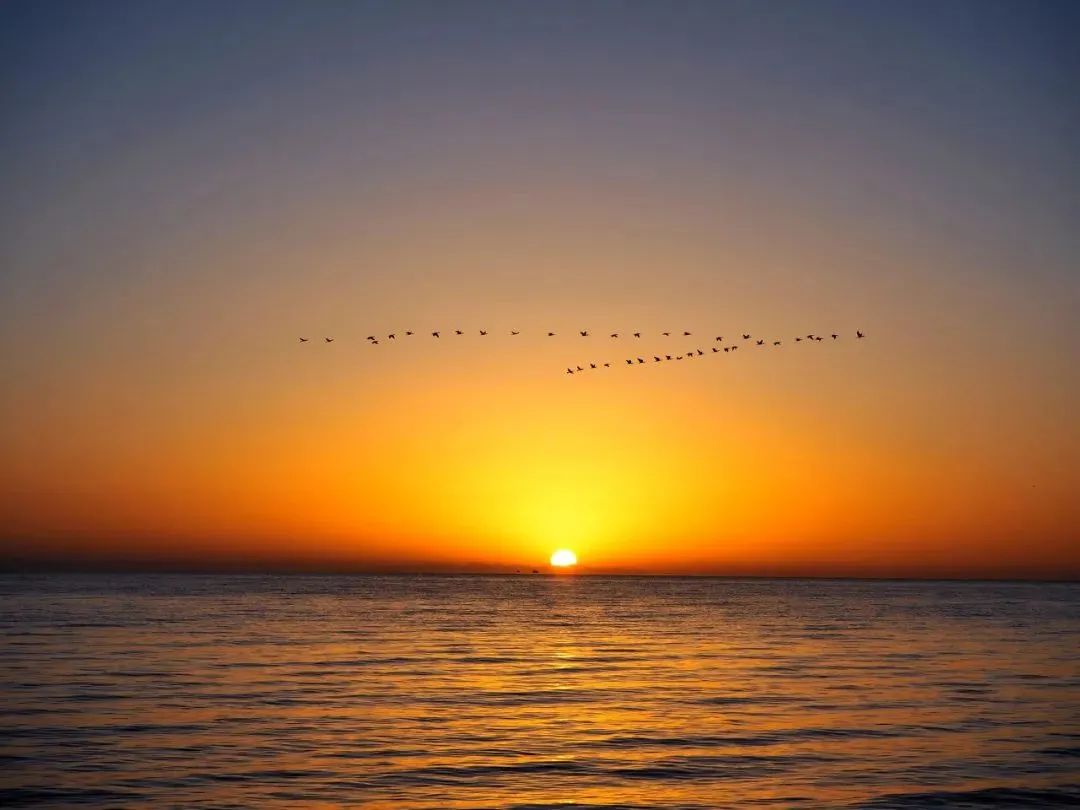 青海：美成了最不像地球的地方