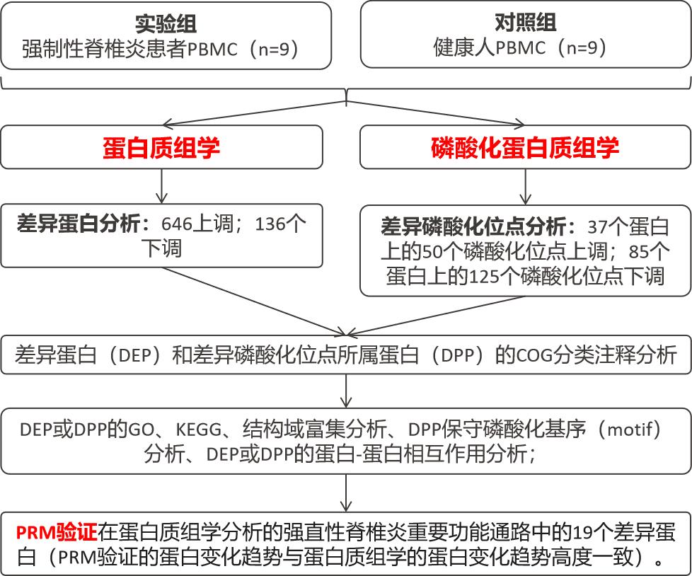6篇文献一次解锁「高通量靶向蛋白质检测技术PRM」的魅力