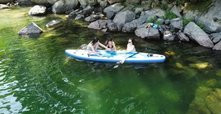 女车主让所有人大吃一惊,女车主让所有人都大吃一惊