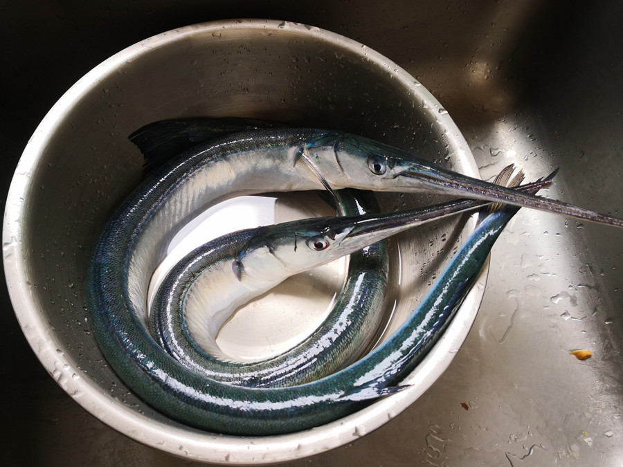 鲅鱼和鲈鱼清蒸哪个好吃,鲅鱼鲈鱼哪个好吃