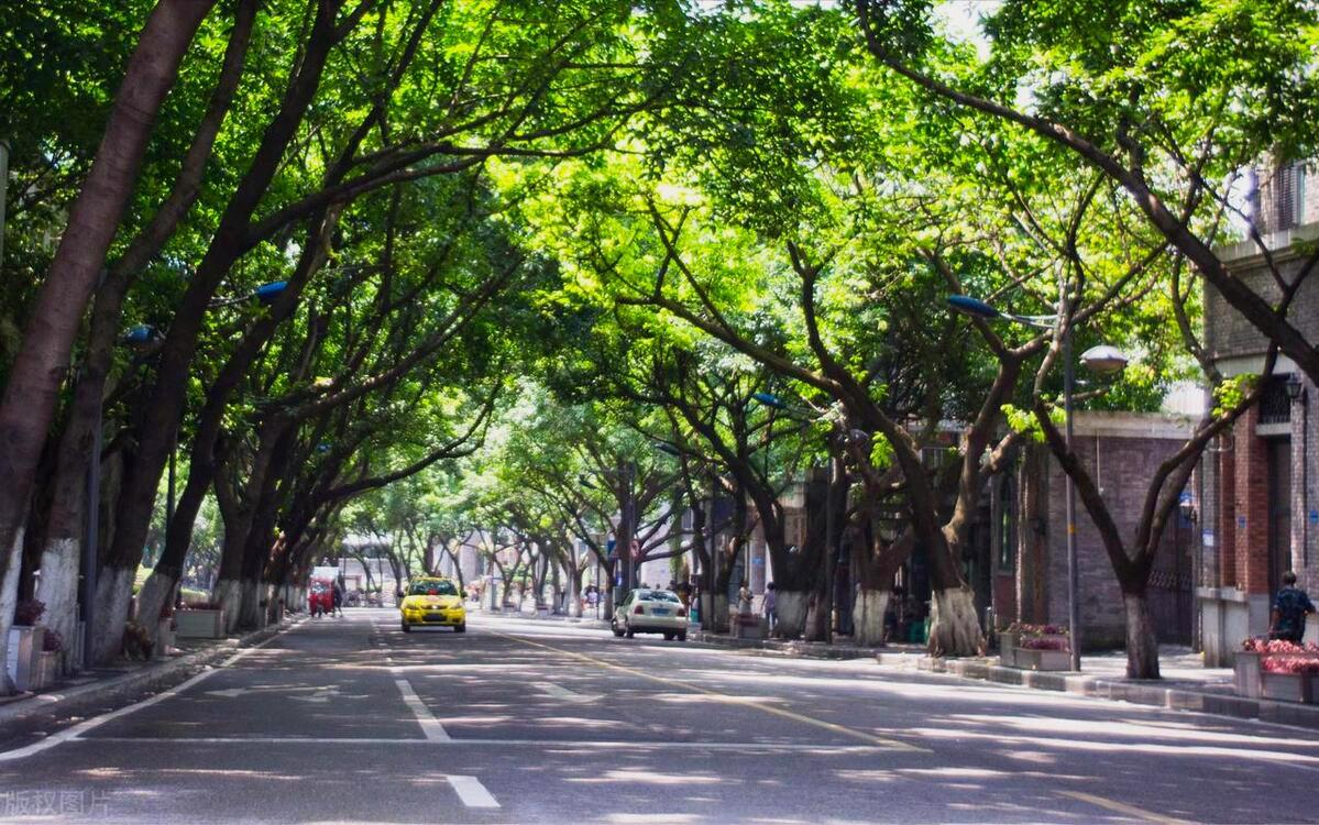 人人点赞的励志句子,励志晚安朋友圈点赞句子