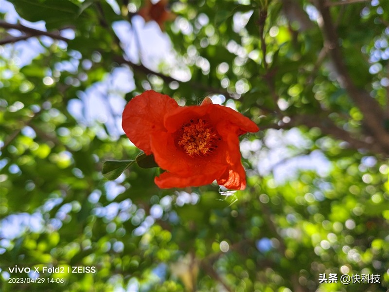 全能轻薄和强劲性能,vivoxfold2为什么叫全能旗舰