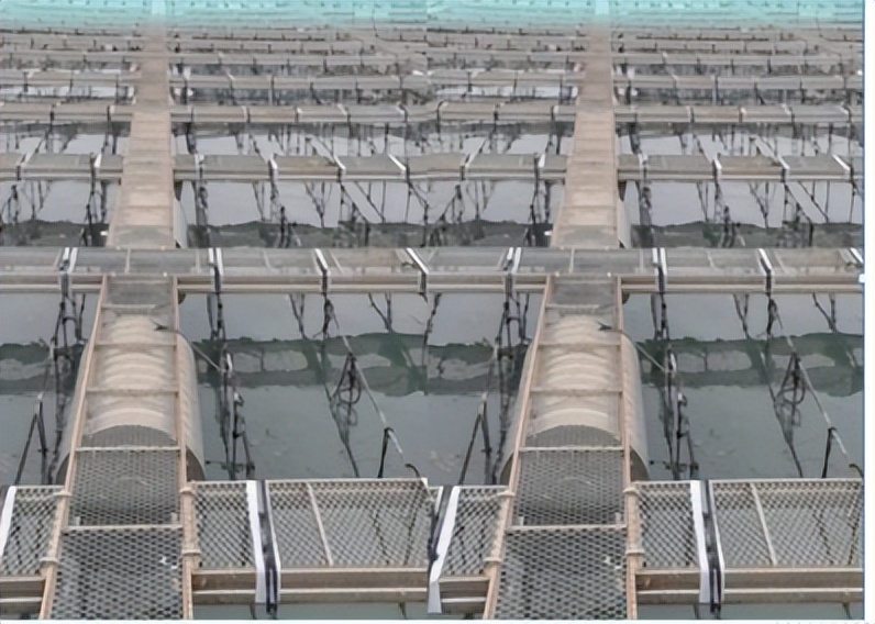 新型不锈钢有哪些,不锈钢创新之路